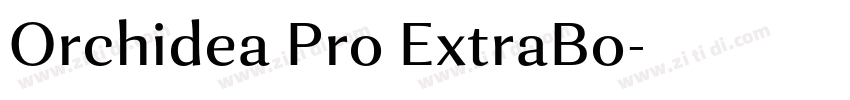Orchidea Pro ExtraBo字体转换